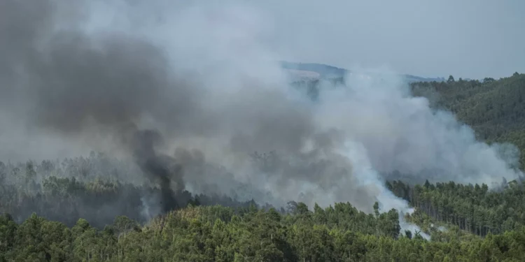 Mais de 50 concelhos de nove distritos em perigo máximo de incêndio