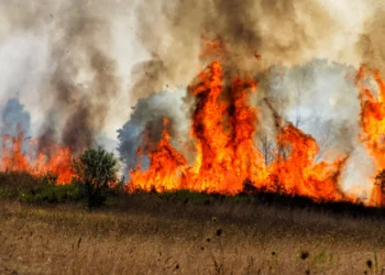 Autarca de Penamacor receia que já possam ter ardido habitações