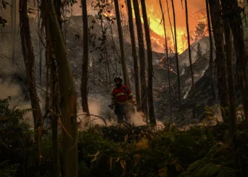 Fogo em Terras do Bouro está a cerca de 200 metros de habitações