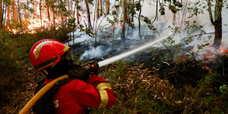 Incêndio em Idanha-a-Nova mobiliza 8 meios aéreos e 150 operacionais
