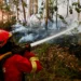 Incêndio em Idanha-a-Nova mobiliza 8 meios aéreos e 150 operacionais