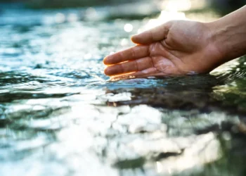 Má qualidade da água no rio Onda associada a descargas da Lactogal