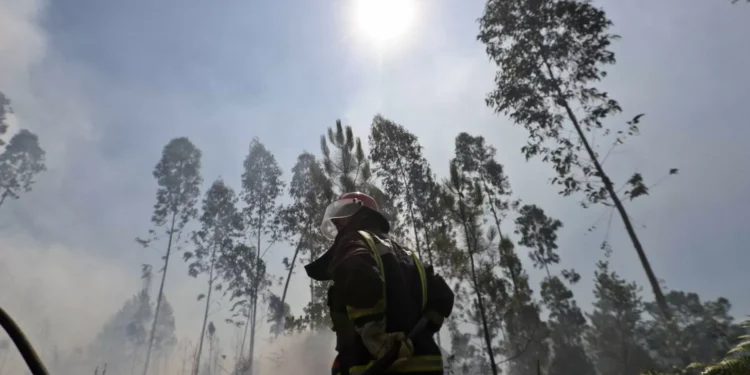 Mais de 100 operacionais combatem incêndio em Ponte de Lima