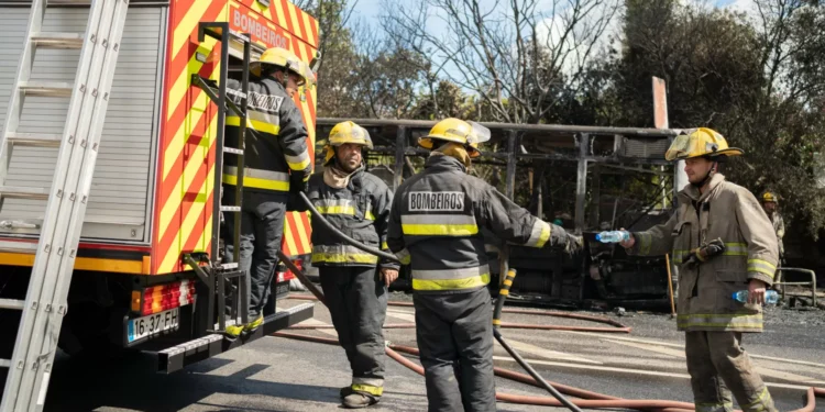 Três concelhos do distrito de Faro em perigo máximo de incêndio