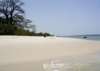 Marcelo saúda elevação dos Bijagós e Parque Nacional de Maputo a património mundial