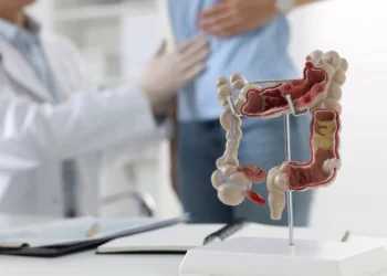 Especialistas dizem que este é o melhor alimento para a saúde intestinal