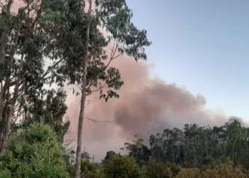 2.700 operacionais combatem nove fogos de grande dimensão de Norte a Sul