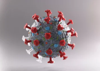 Covid-19. Os sintomas mais comuns durante o verão