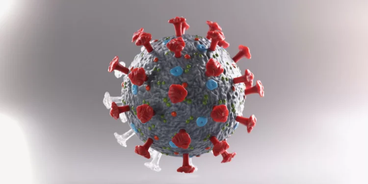 Covid-19. Os sintomas mais comuns durante o verão