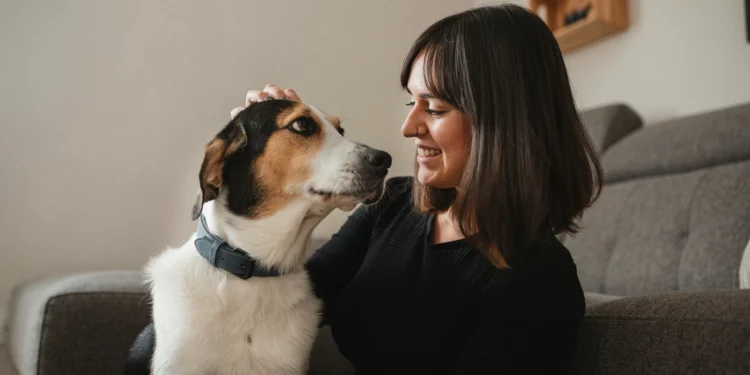 Pets ganham protagonismo nas decisões de vida dos tutores, aponta estudo
