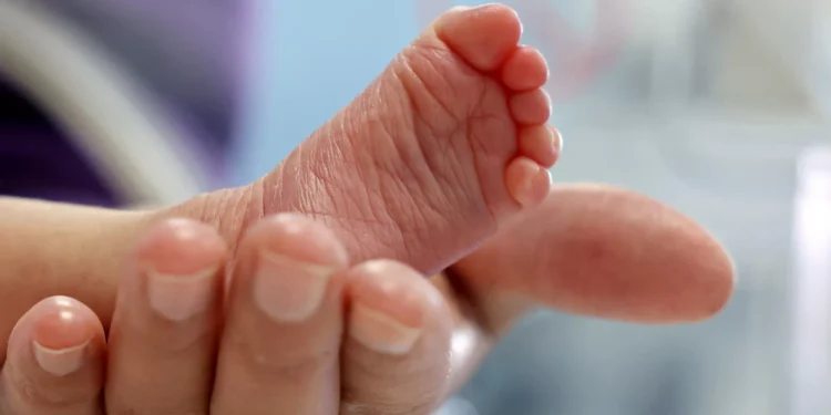 ‘Testes do pezinho’ mostram mais nascimentos no 1.º semestre do ano
