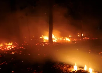 Incêndio em Ponte da Barca. Freguesia de Ermida é preocupação principal