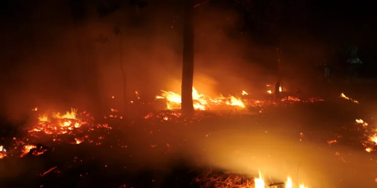Incêndio em Ponte da Barca. Freguesia de Ermida é preocupação principal