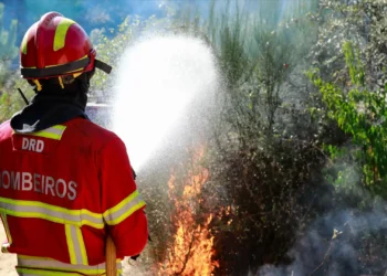 Incêndio no Alandroal dado como dominado
