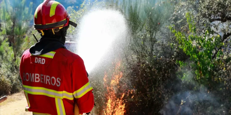 Incêndio no Alandroal dado como dominado