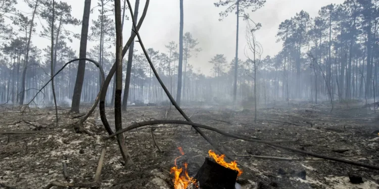 Fogo em Sabrosa “poderá estar dominado”. Já não há populações em risco
