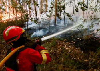 Incêndio que deflagrou no concelho de Aljustrel considerado dominado