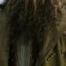 Depois de Harry Potter, HBO Max revela primeira imagem de Hagrid