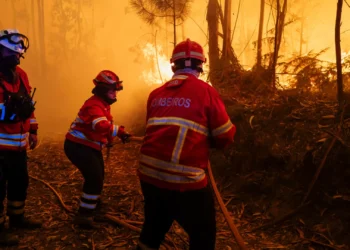 Incêndio em Aljustrel tem 2 frentes ativas e atingiu “grandes dimensões”