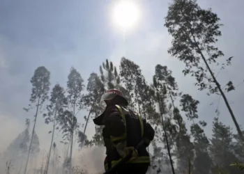 Fogo de Arouca com seis frentes arde com muita intensidade: “Complicado”
