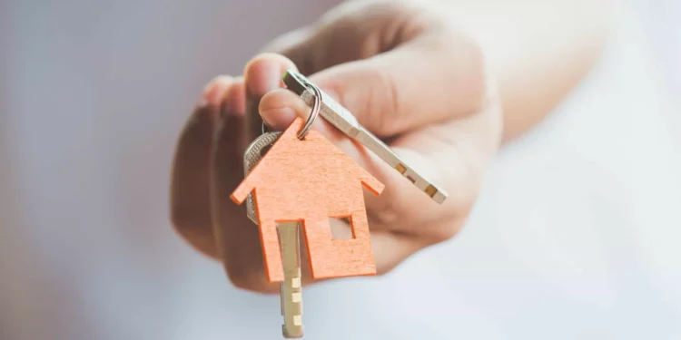 Demolição em Loures: Instituto de Apoio à Criança pede “alojamento digno”