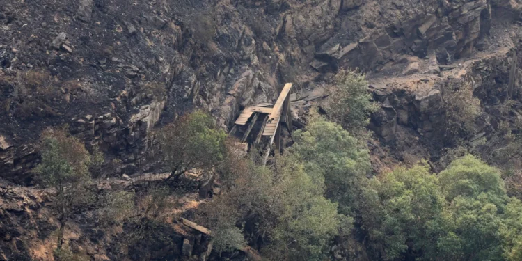 Arouca “estabilizada”, sem situações que suscitem “maior preocupação”