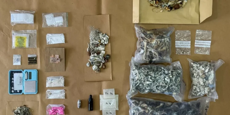 Boom Festival: PJ ‘apanha’ mais 3 vendedores de droga e apreende 11.000€