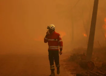 Mais de 170 combatiam pelas 23h45 fogos em Montalegre e Vila Real