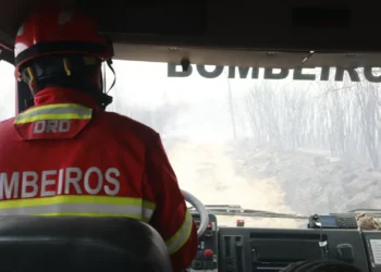 Fogo no concelho de Nisa dominado e em vigilância