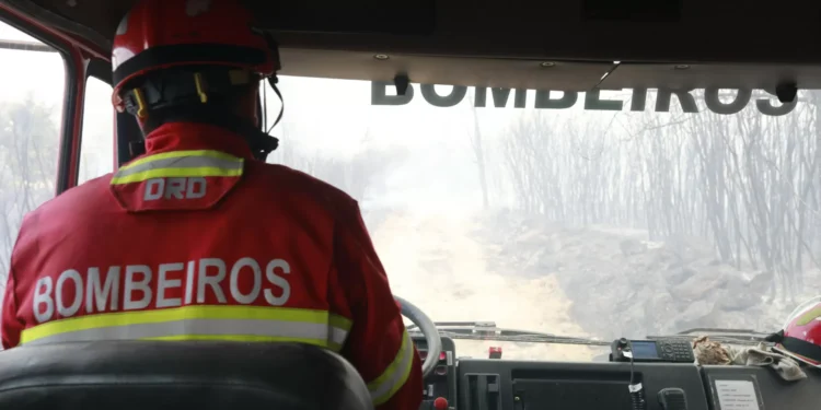 Fogo no concelho de Nisa dominado e em vigilância