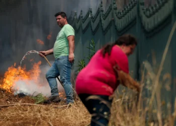 IRA salva das chamas centenas de animais em seis dias em Portugal