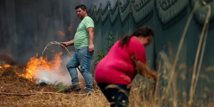 IRA salva das chamas centenas de animais em seis dias em Portugal