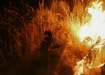 Ficam em liberdade homens apanhados a atear incêndio em Vinhais