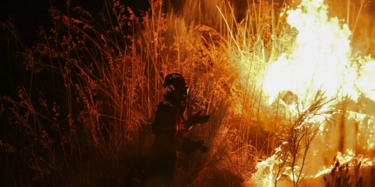 Ficam em liberdade homens apanhados a atear incêndio em Vinhais