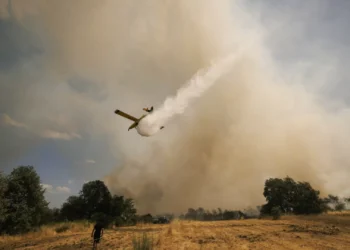 Incêndio em Moimenta da Beira em fase de resolução