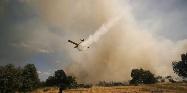 Incêndio em Moimenta da Beira em fase de resolução