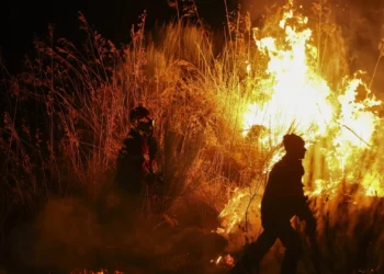 Fogo em Mirandela alastra até Vila Flor e aproxima-se de habitações