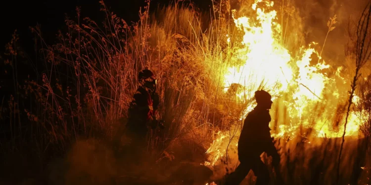Fogo em Mirandela alastra até Vila Flor e aproxima-se de habitações