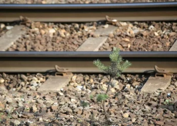 Normalizada circulação na Linha do Algarve após colisão entre comboio e veículo