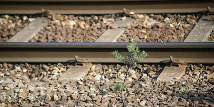 Normalizada circulação na Linha do Algarve após colisão entre comboio e veículo