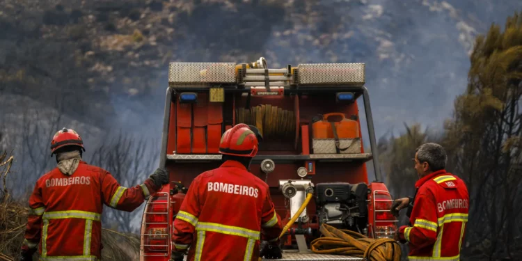 Mais de 3.300 operacionais combatiam sete principais fogos rurais às 5h30