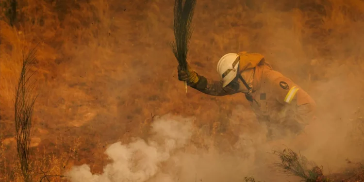 Incêndios: Ferido grave no Sabugal apresenta “queimadura extensa”