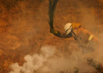 Incêndios: Ferido grave no Sabugal apresenta “queimadura extensa”