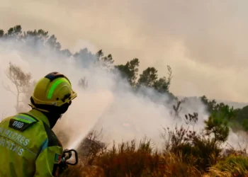 Duas frentes a arder com intensidade no fogo que deflagrou em Sabrosa