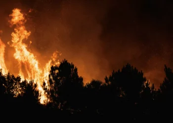Dominado fogo em Alfena no concelho de Valongo