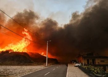 Incêndios: Fundão disponibiliza apoio social e psicológico