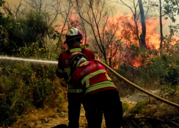 Mais de 3.550 operacionais combatiam 8 principais fogos rurais pelas 00h