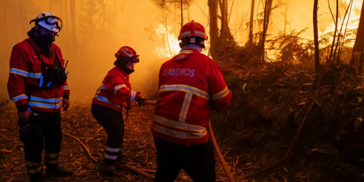 Fogo na serra do Alvão com duas frentes a arder com intensidade