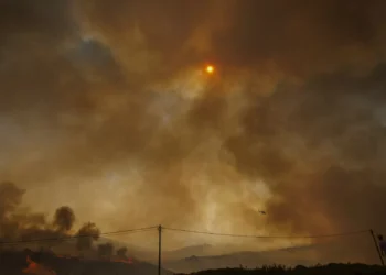 Autarca de Vila Real quer saber o que “não correu bem” na serra do Alvão