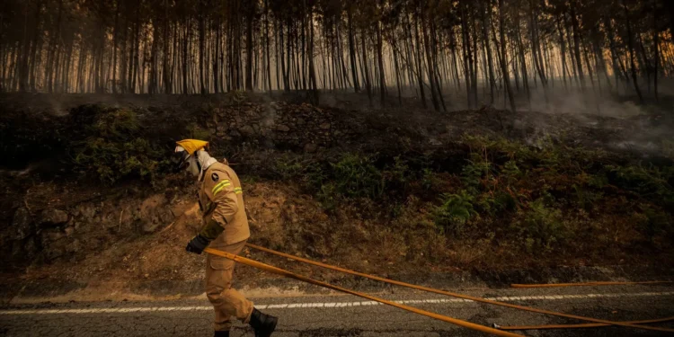 Incêndios. Fogo em Vila Real e Mondim com duas frentes ativas e à espera de reforço de meios